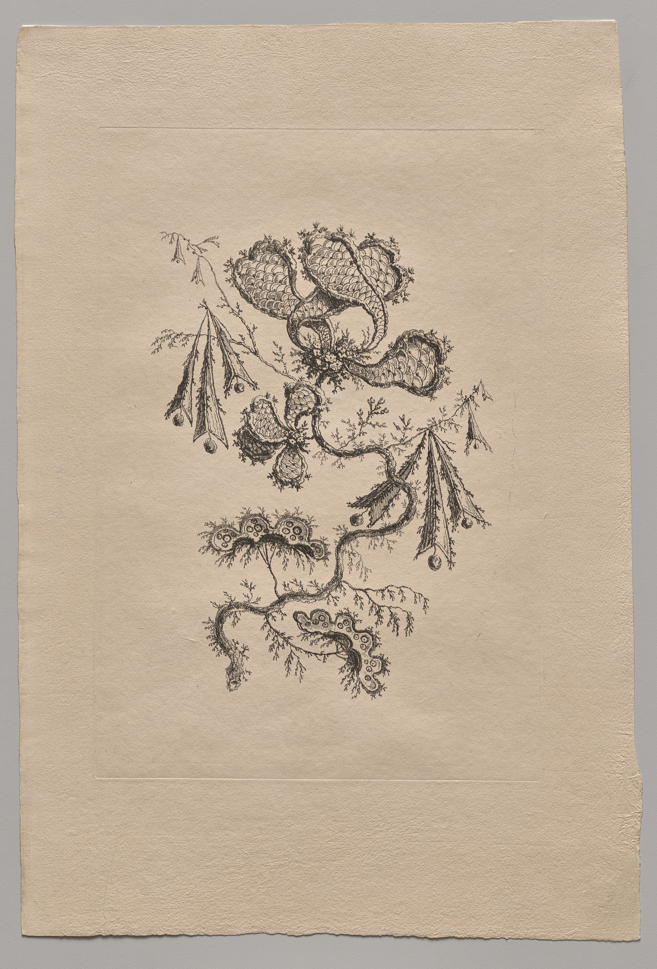 Jean Baptiste Pillement, Persian Flowers