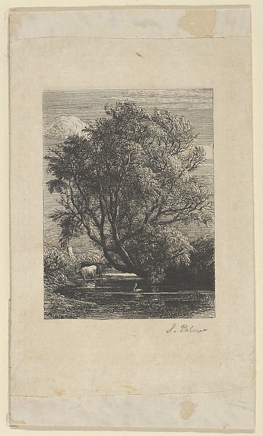 Samuel Palmer, The Willow