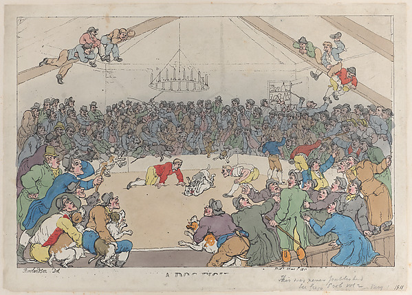 Thomas Rowlandson, A Dog Fight