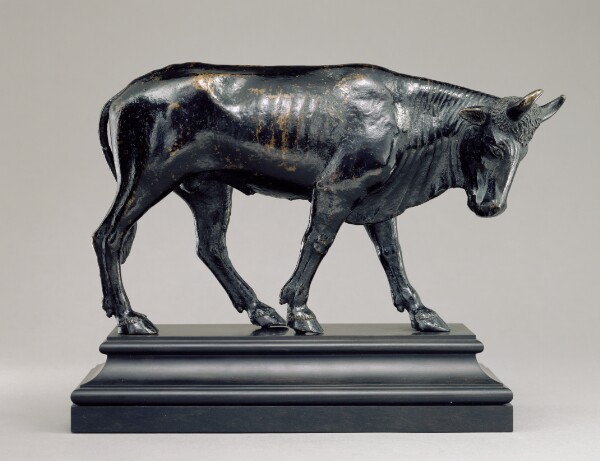Unknown, Bull with Lowered Head