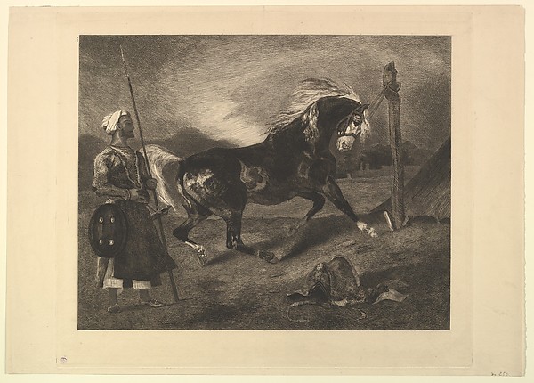 Félix Bracquemond, Cheval arabe au piquet, d'après Delacroix