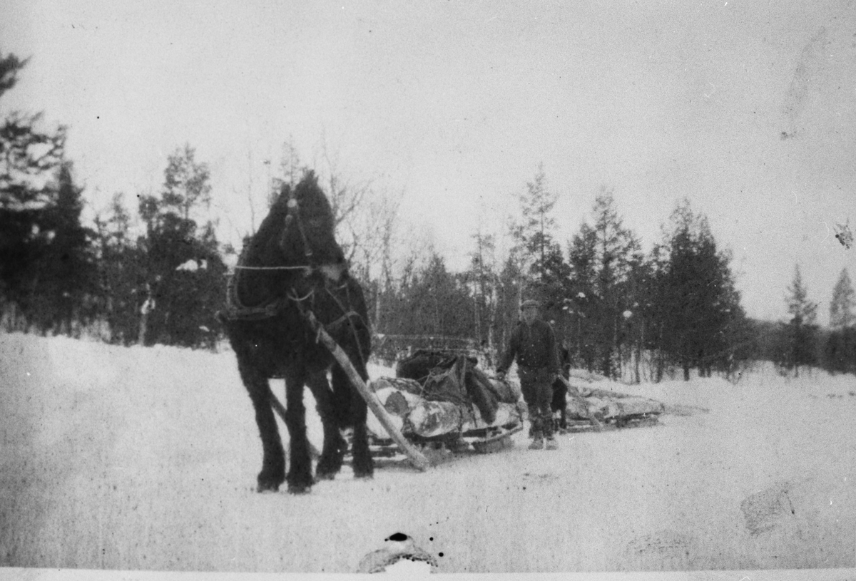 Ukjent, Tømmerkjøring med hest