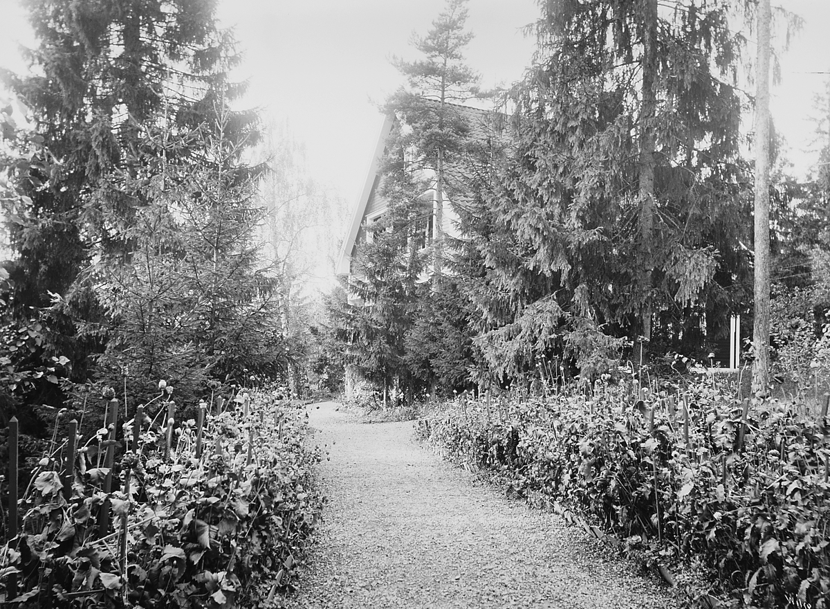 Anders Beer Wilse, Prot: Fahlstrøms Villa Indgang