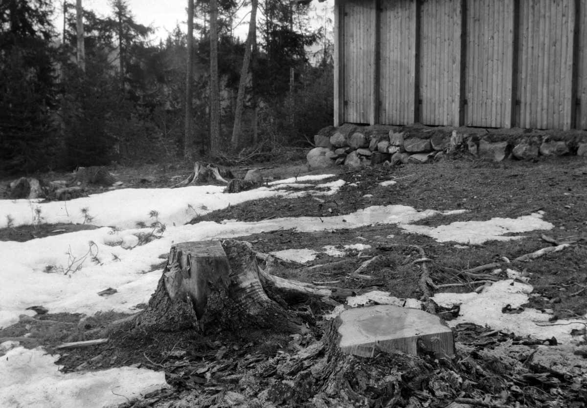 Ole Hansen Løken, STUBBER.