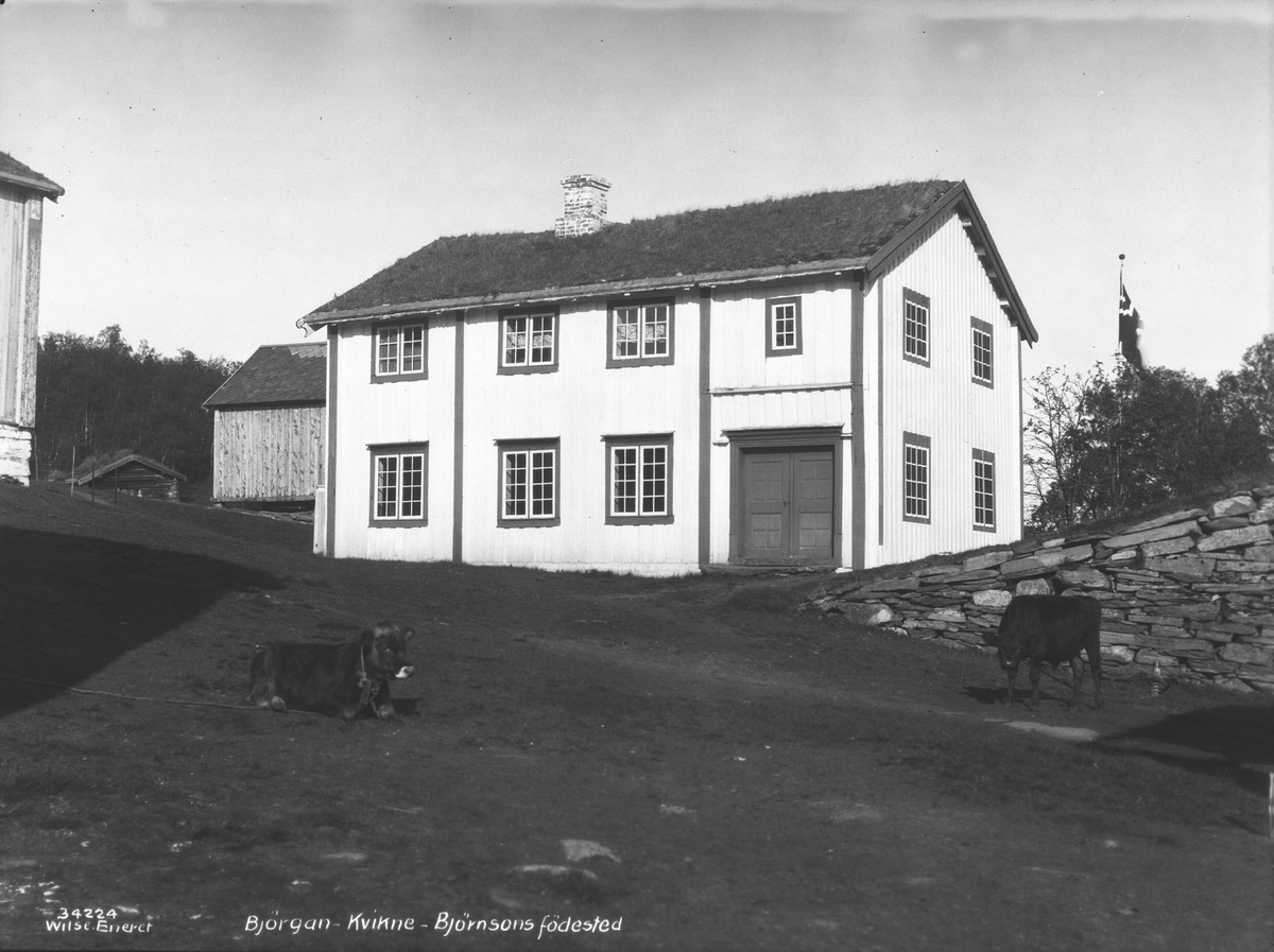 Anders Beer Wilse, Prot: Østerdalen, Kvikne - Bjørgan, Bjørnsons fødested, Kvikne