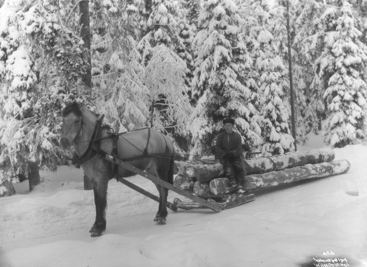 Anders Beer Wilse, Prot: Tømmerkjøring 27.Jan.1902