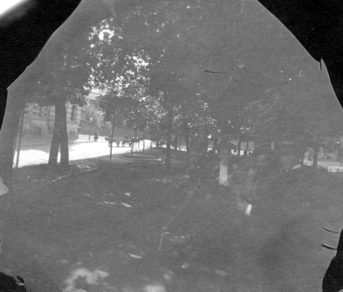Fredrik Carl Mülertz Størmer, Else Thaulow i midten, og to andre kvinner i park, ant. Oslo. Hestevogn og bygninger skimtes mellom trærne.
