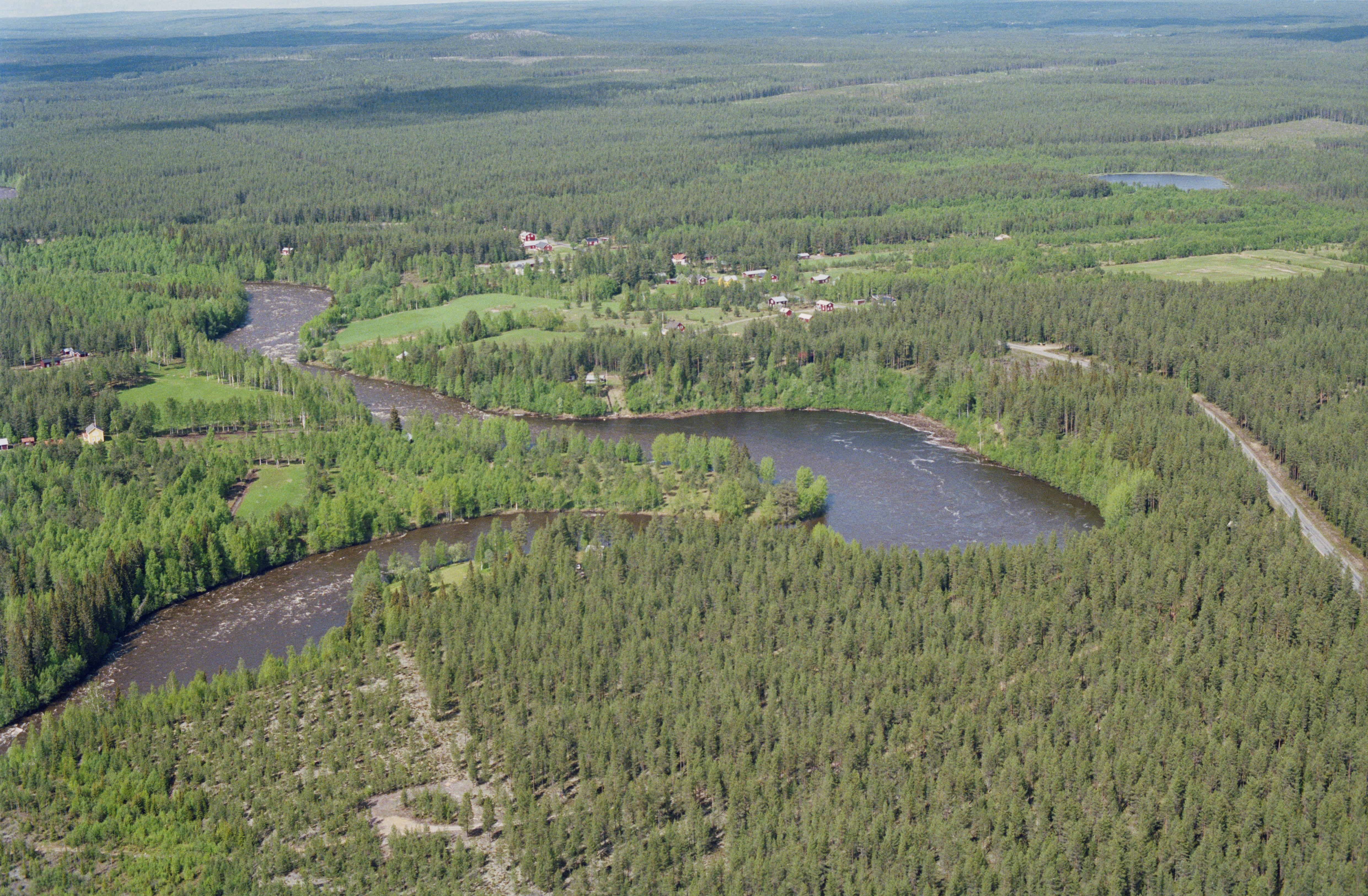 Jan Norrman, Byske 221:1