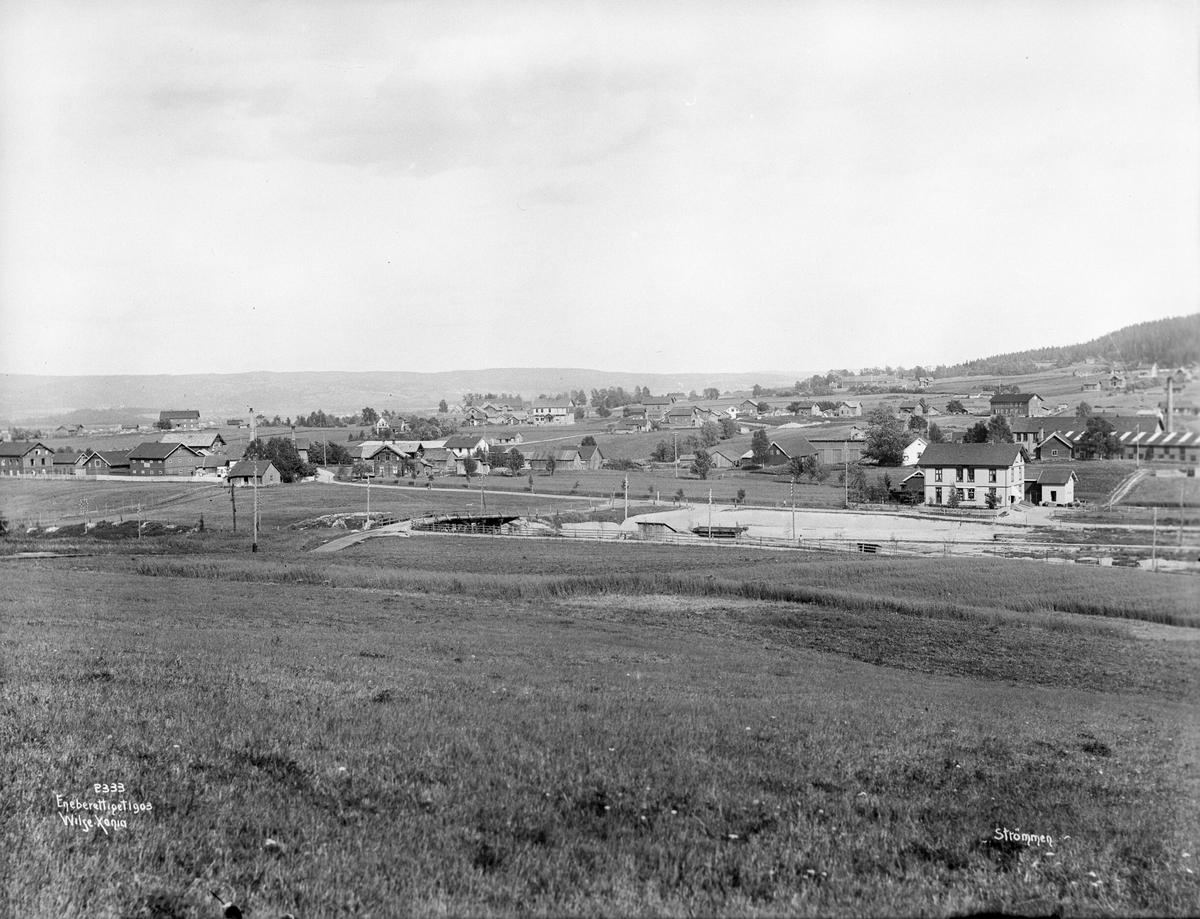 Anders Beer Wilse, Prot: Strømmen - Panorama 8. Aug. 1903