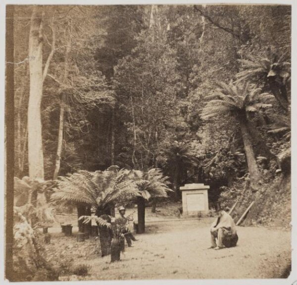 unknown, Photograph