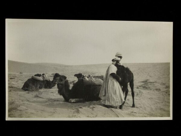 Unknown, Two men with a baby camel, with other camels resting in the desert. Algeria.
