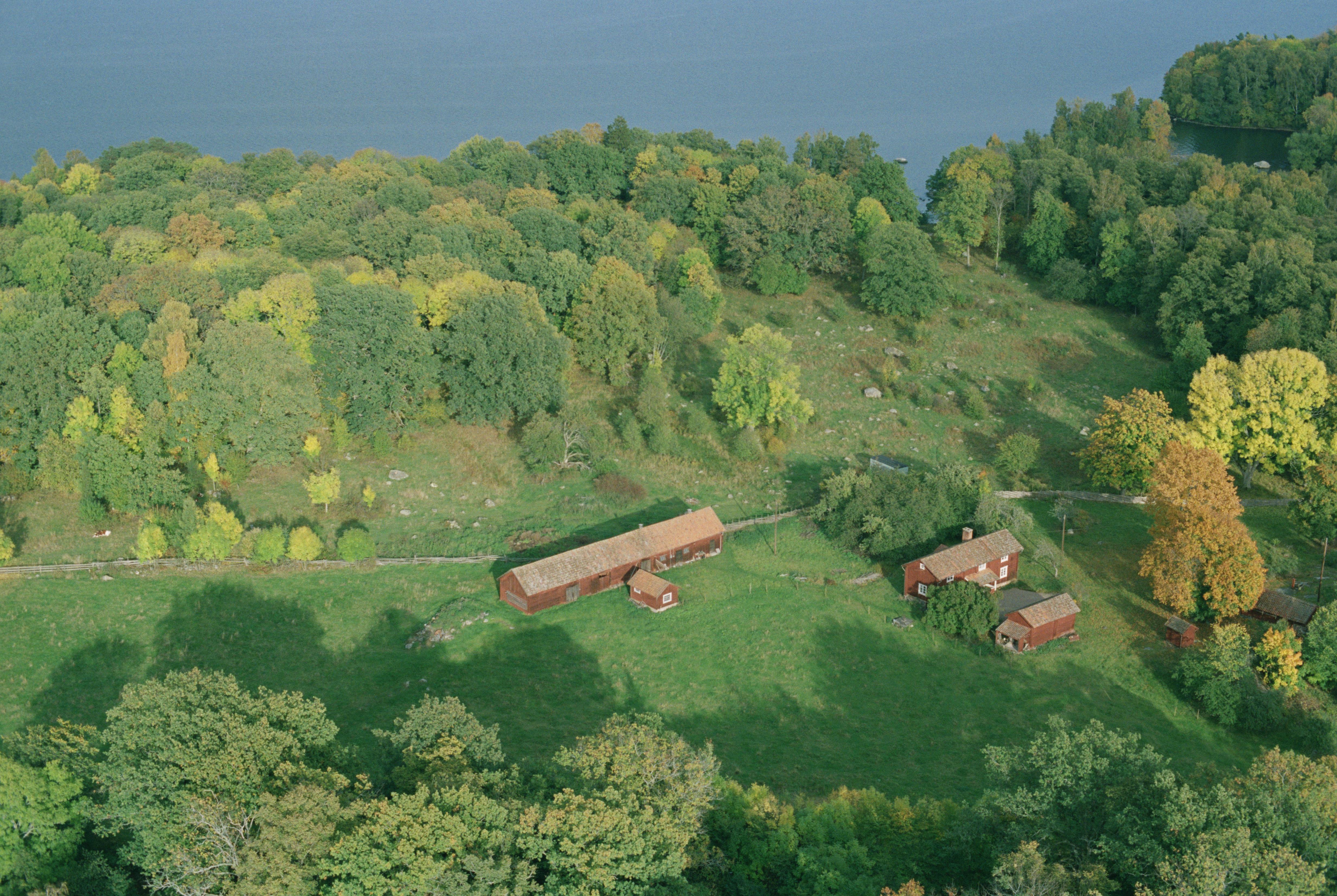 Jan Norrman, Tåkenön