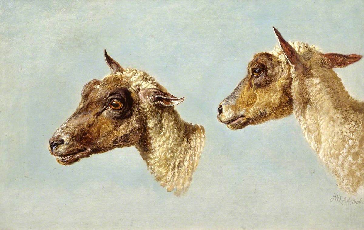 James Ward, Study of Sheeps’ Heads