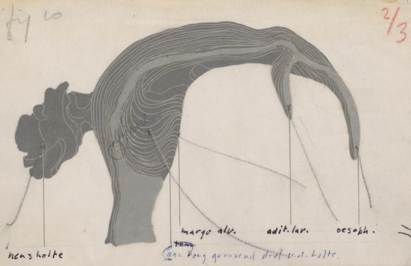 Harry de Bles, Part of the respiratory or digestive system