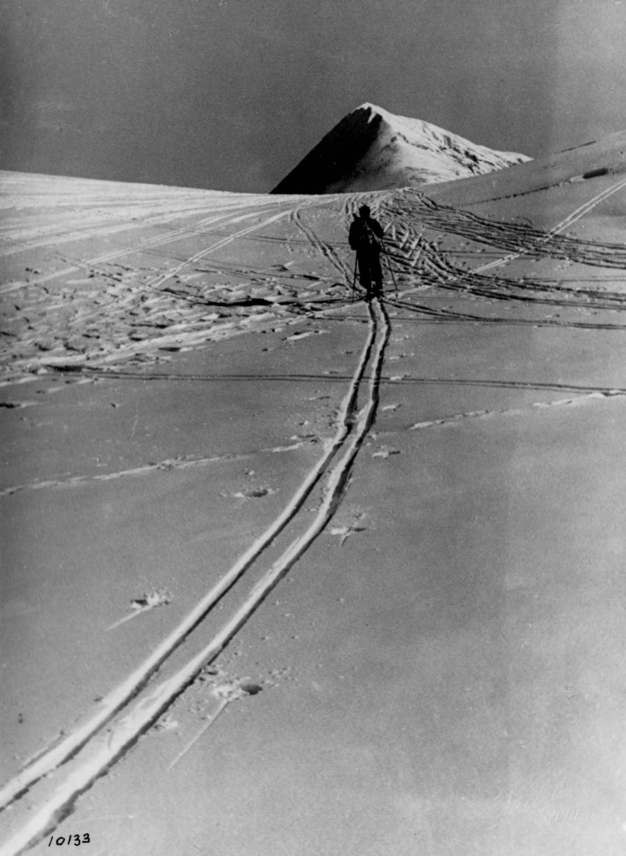 Anders Beer Wilse, Skiløper ved Gaustatoppen.