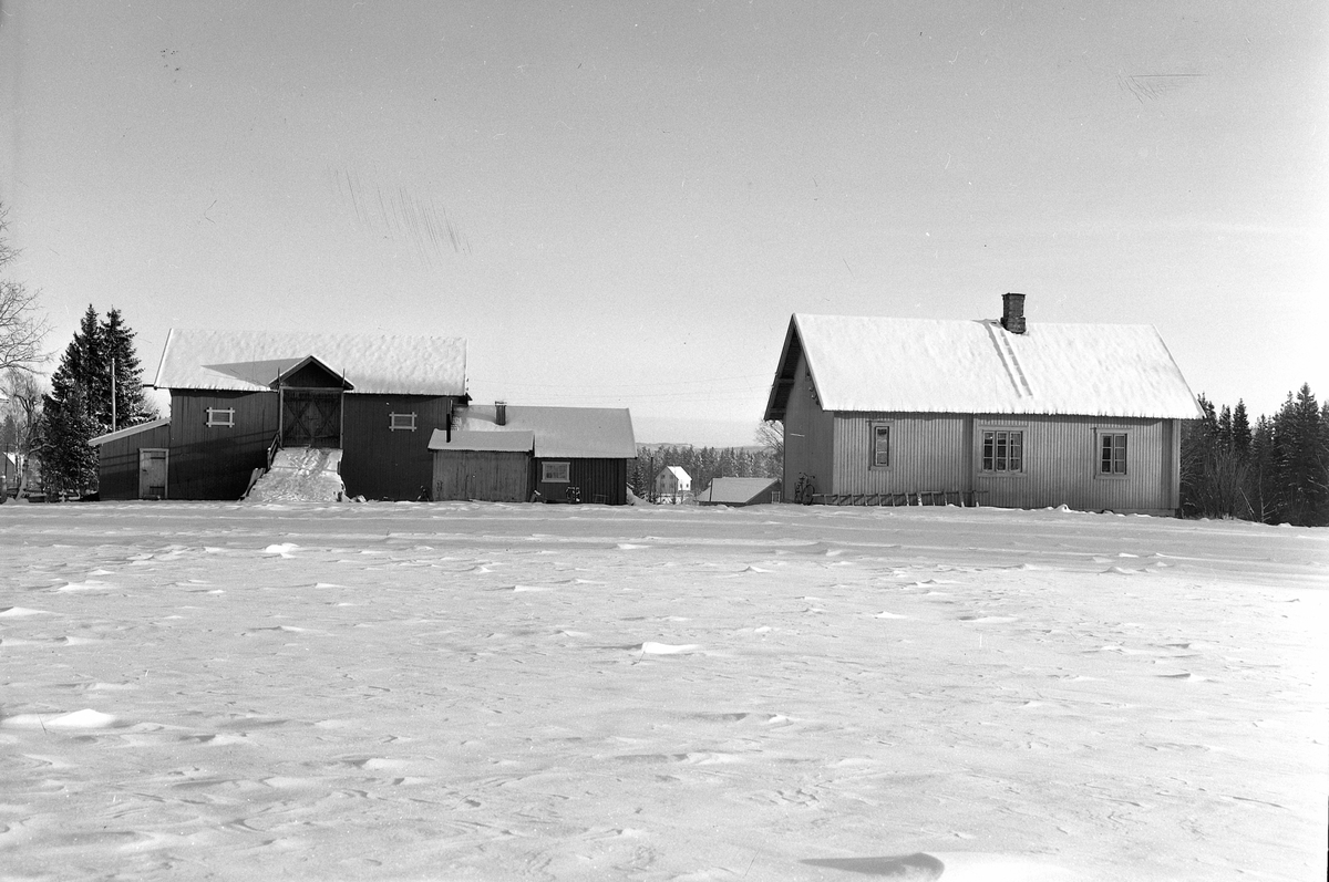 Anno Domkirkeodden, EKSTR: GARDSTUN, JØNSRUD NORDRE, LØTEN. Se Løtenboka, bind 2. Bygdeboka fra 1953, side 258