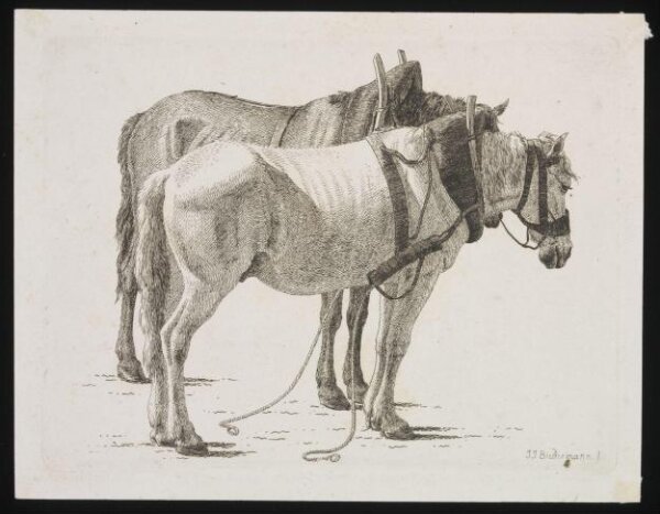 Unknown, Print