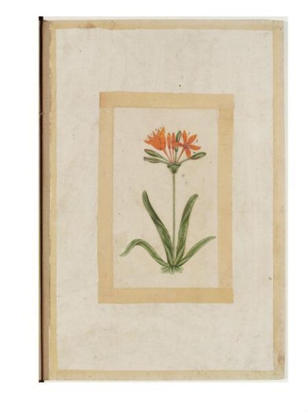 Unknown, Painting