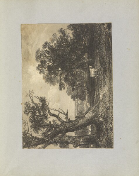 Unknown, [Pastoral Scene with Cows and Bulls]