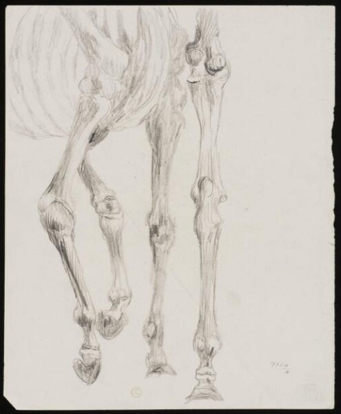 William Etty, Drawing