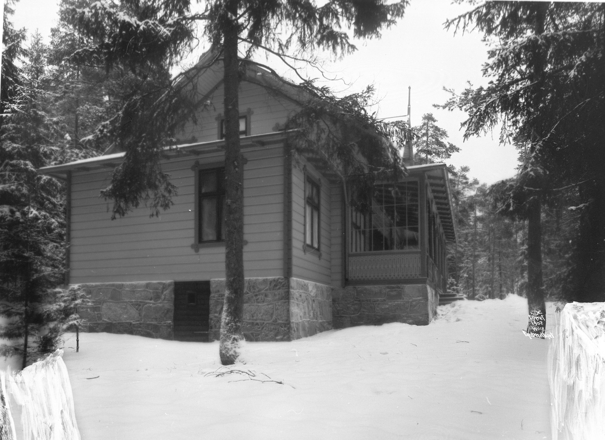 Anders Beer Wilse, Prot: Kongens Villa paa Bygdø Feb.1902