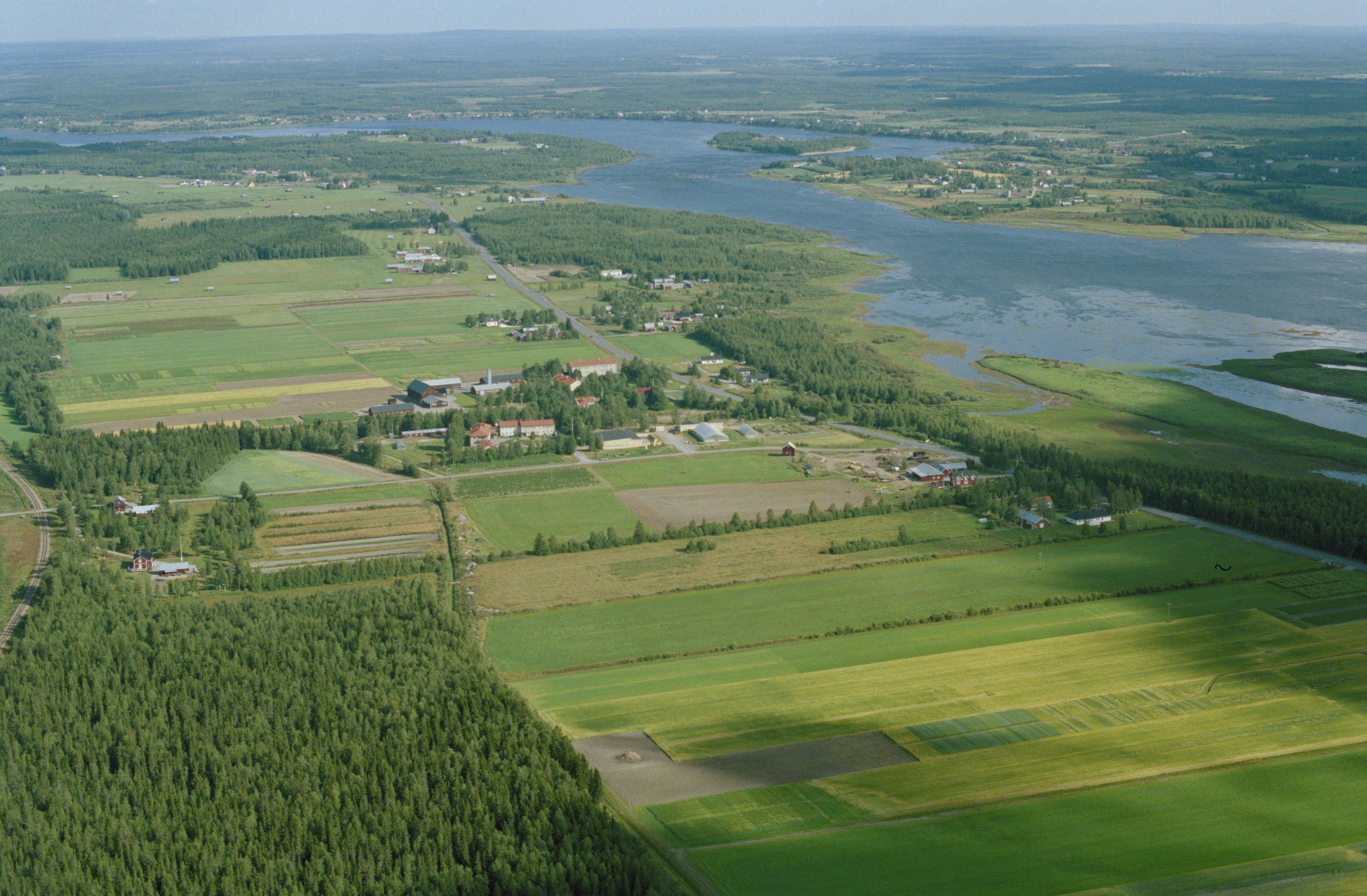 Jan Norrman, Nedertorneå 358:1