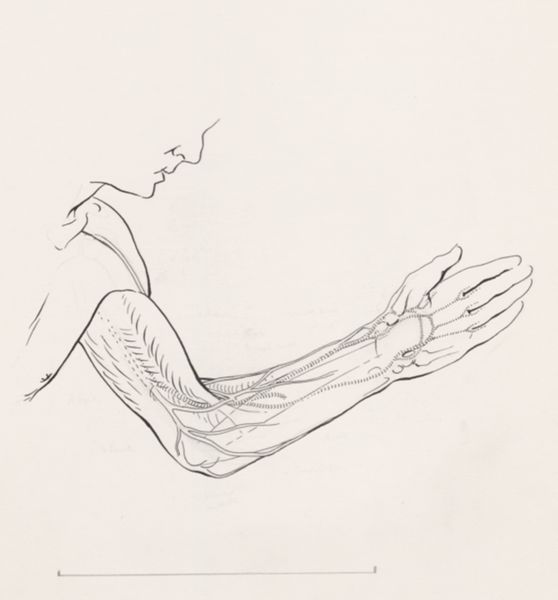 J Tinkelenberg, Arteries of the human arm
