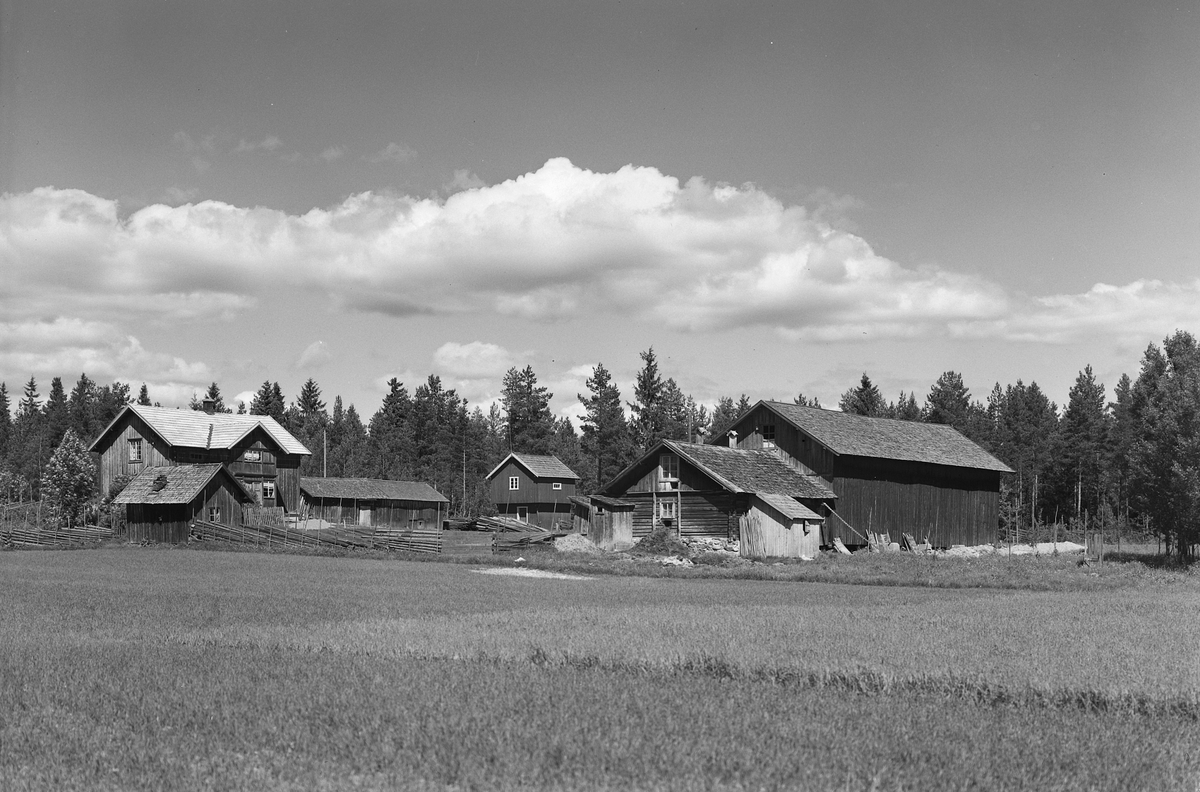 Anno Domkirkeodden, EKSTR: GARDSTUN, ROM SØNDRE. Se Løtenboka, bind 2. Bygdeboka fra 1953, side 186.