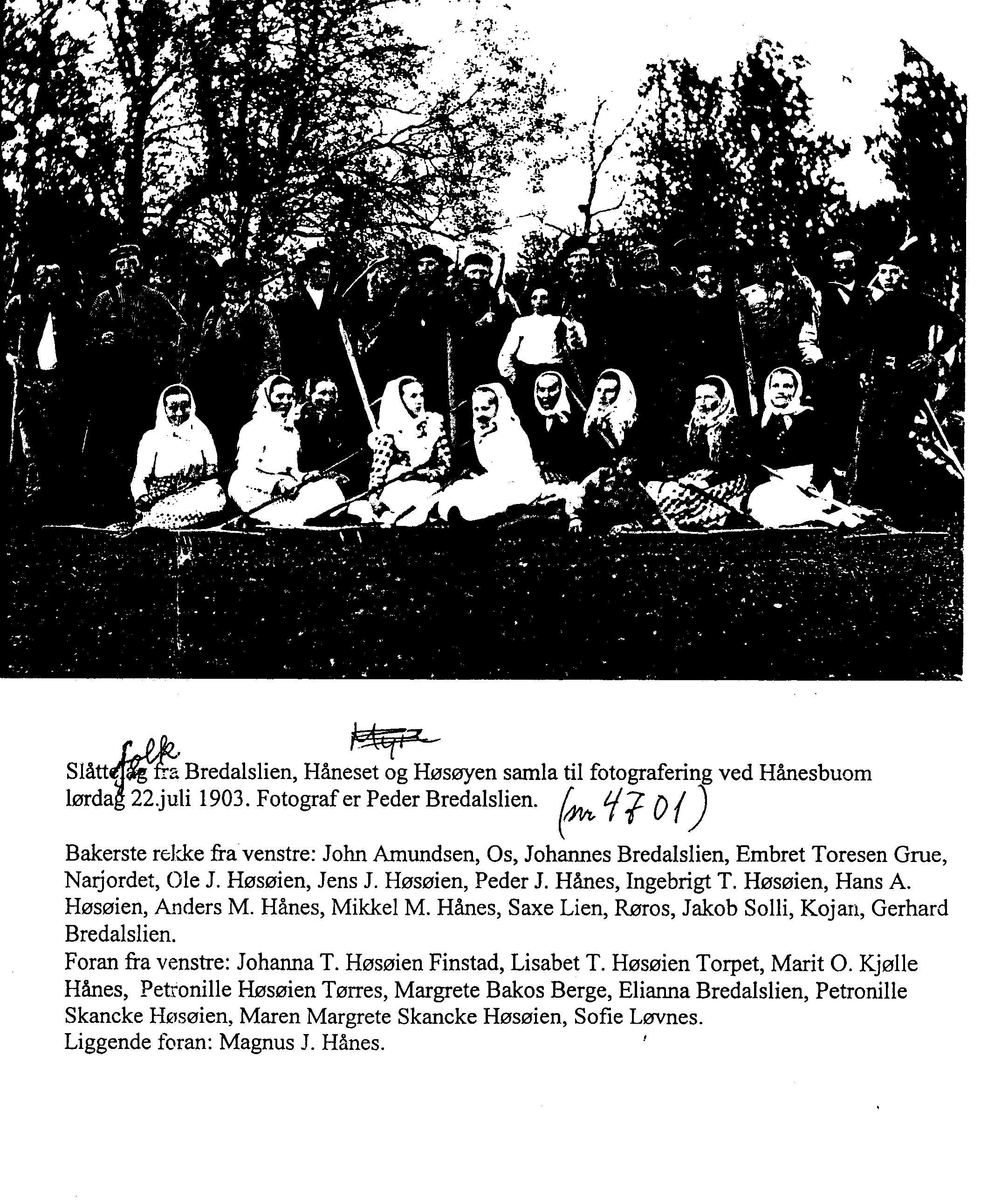 Peder J. Bredalslien, Gruppebilde slåttefolk, menn med ljåer og kvinnfolk med rakeriver, oppstilt,