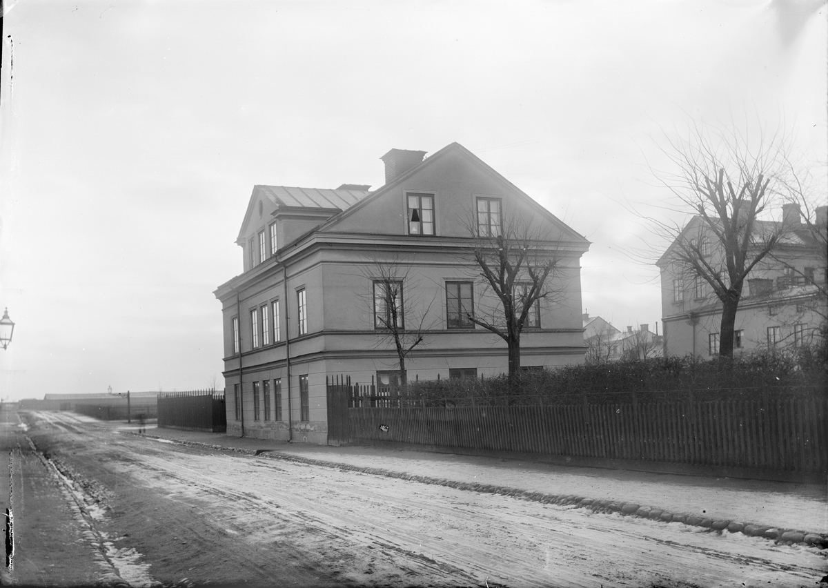 Henri Osti's Fotografiateliér, The Samarite Home, Höne, KungsSam77, Uppsala 1898