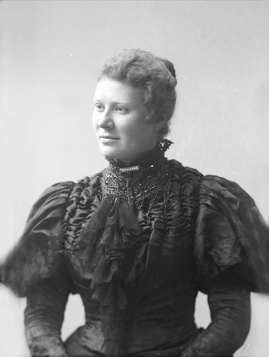 Gustav Borgen, NFB.39335