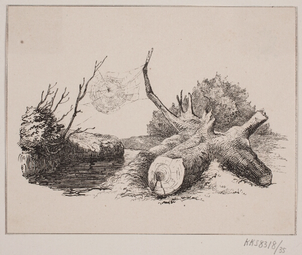 Adolph Kittendorff, Ederkoppen