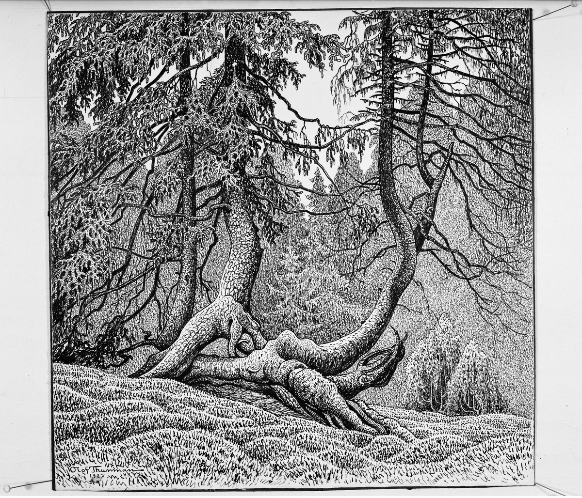 Paul Sandberg, Konstverk - grafiskt blad signerat 1927 av konstnären Olof Thunman