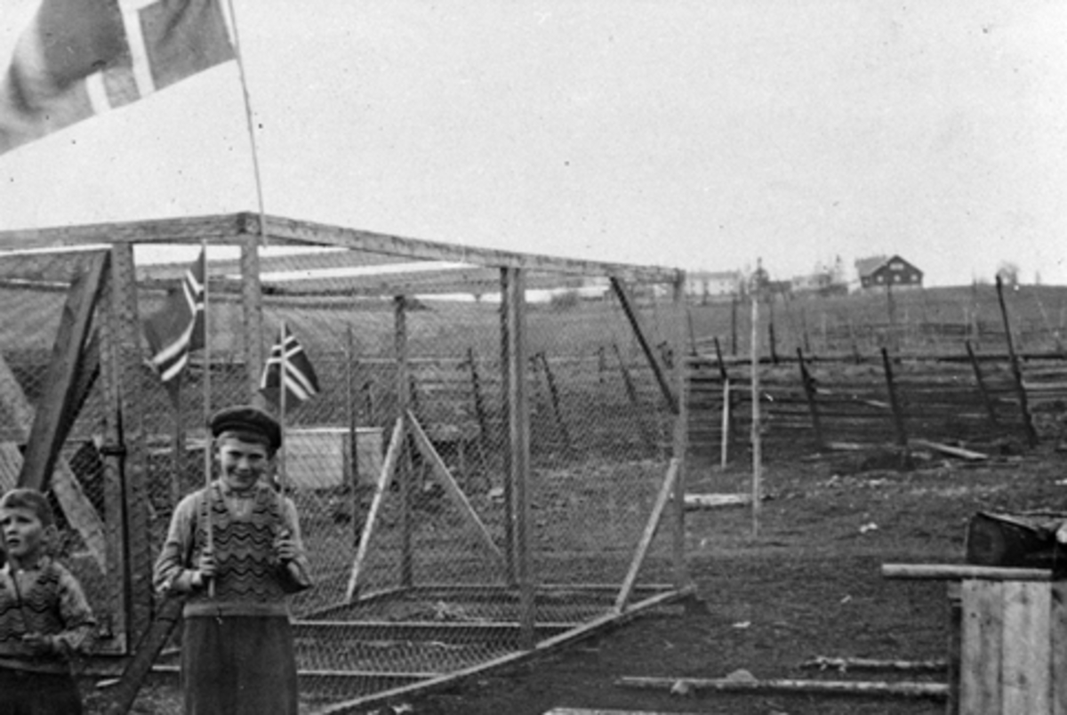 Anno Domkirkeodden, UTHUS GARD, STANGE, T. V. ANNAR OG ODD KJELL SKJEGSTAD FEIRER FRIGJØRINGEN 7. MAI 1945. NORSKE FLAGG. DEN 2. VERDENSKRIG
