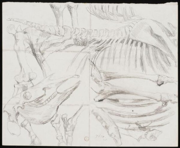 William Etty, Drawing