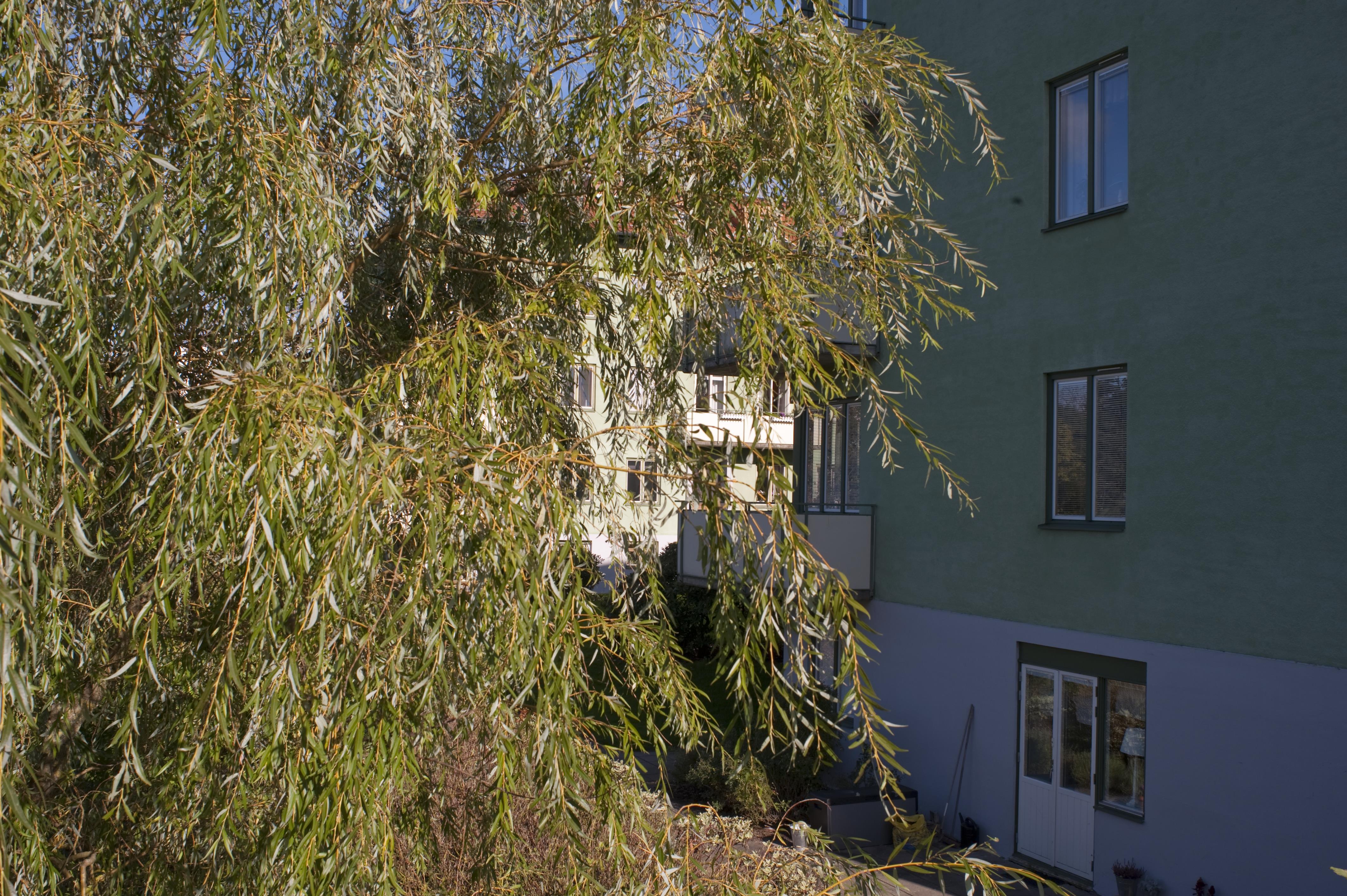 Bengt A Lundberg, Ängelholm