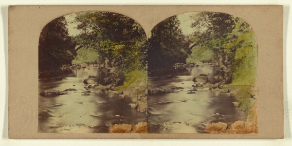 London Stereoscopic and Photographic Company, View in the Dargle, county Wicklow, Ireland.