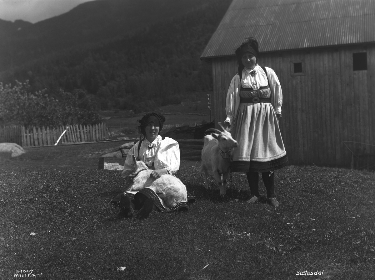 Anders Beer Wilse, Prot: Sørlandet - Sætesdal, Sætesdalspiker med gjæt