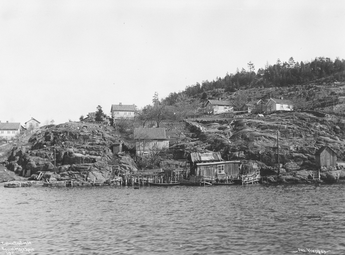 Anders Beer Wilse, Prot: Parti ved Vrengen Apr.1901