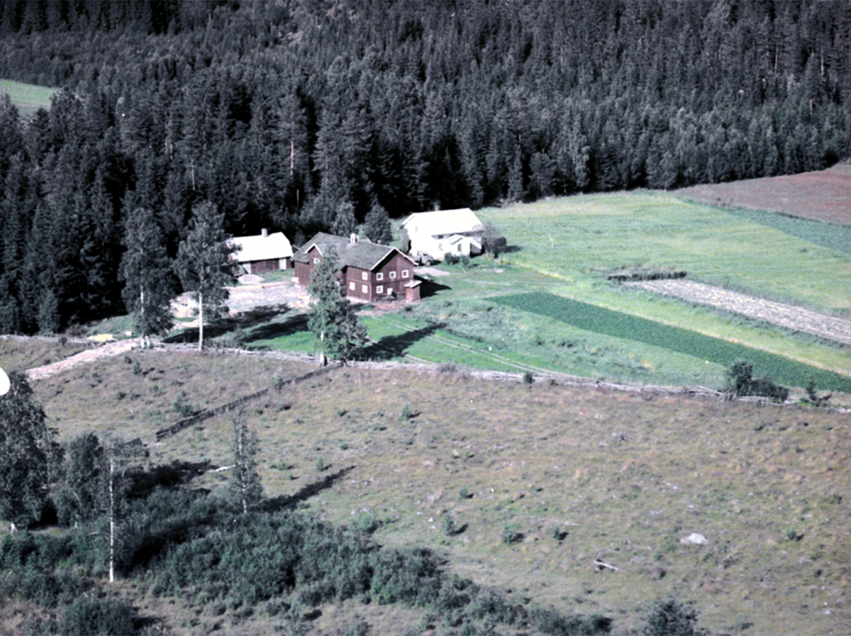 Widerøes Flyveselskap A/S, FLYFOTO JEVNAAKER 339-13/6, VALLSET