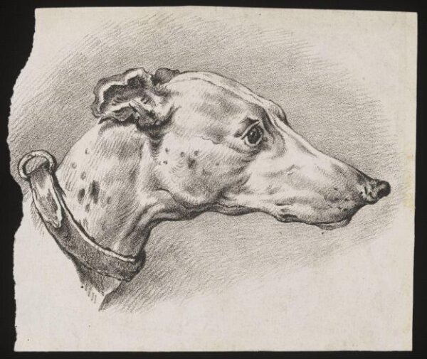 Unknown, Print
