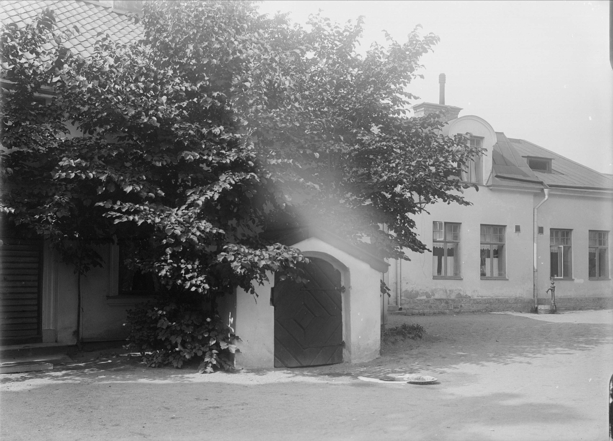 Alfred Dahlgren, Tullbergska gården, Klostergatan 4, kvarteret Klostret, Dragarbrunn, Uppsala 1908