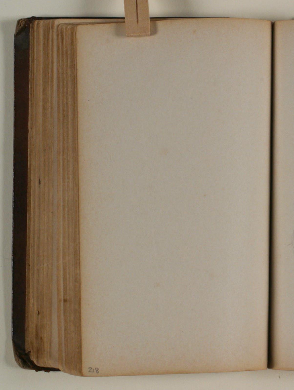 Niels Larsen Stevns, Blank