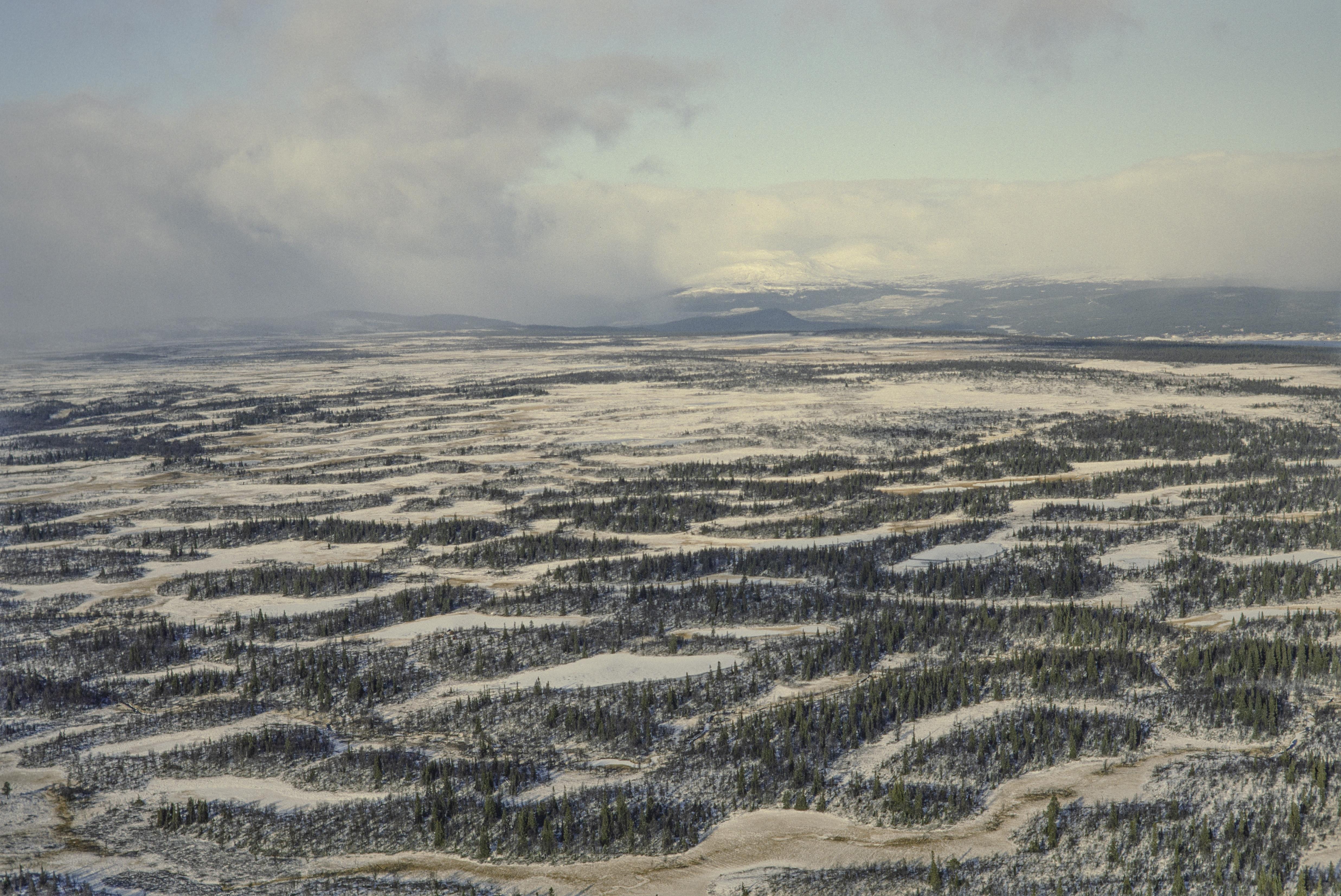 Jan Norrman, Storsjö 151:1