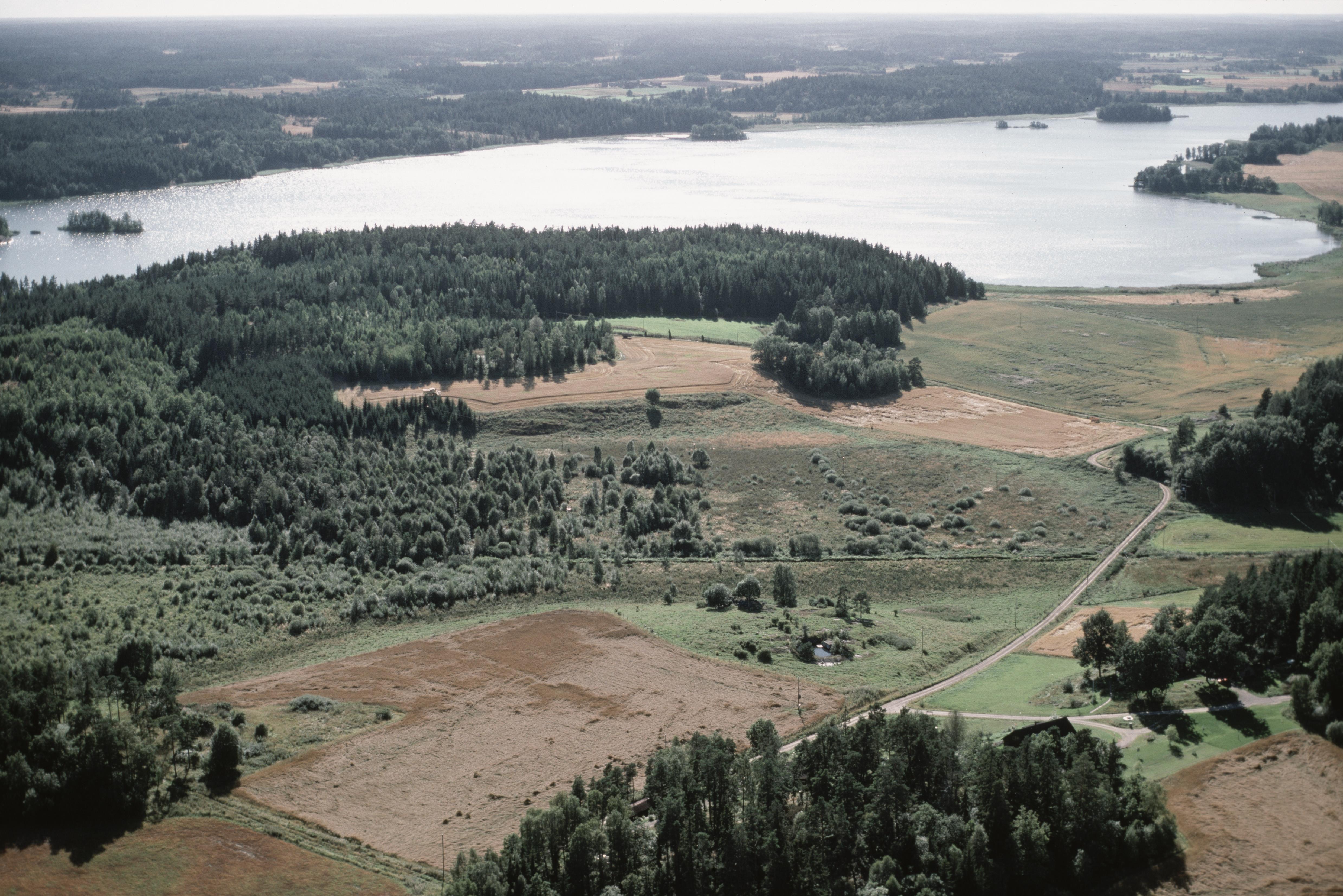 Jan Norrman, Kattnäs 74:1