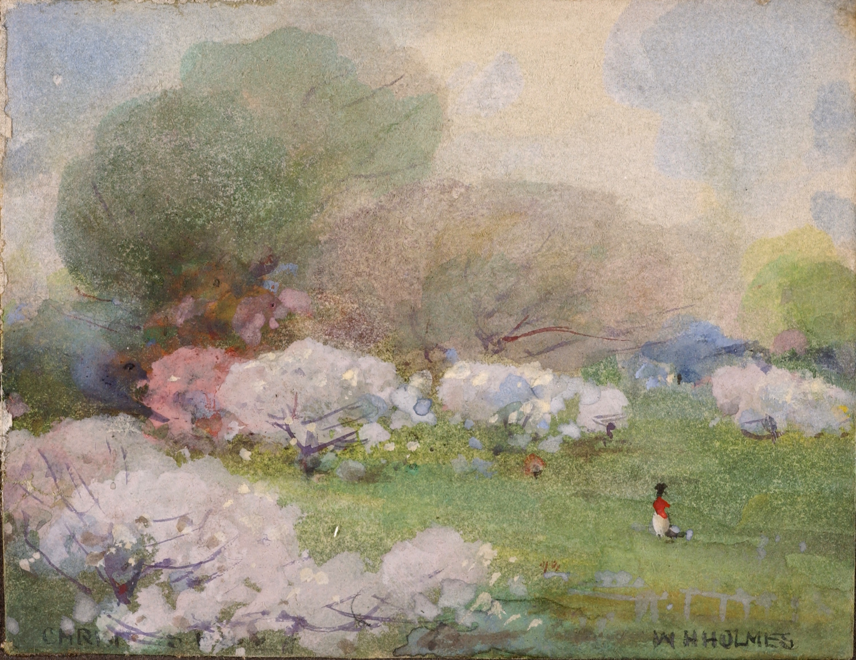 William Henry Holmes, Cherry Blossoms