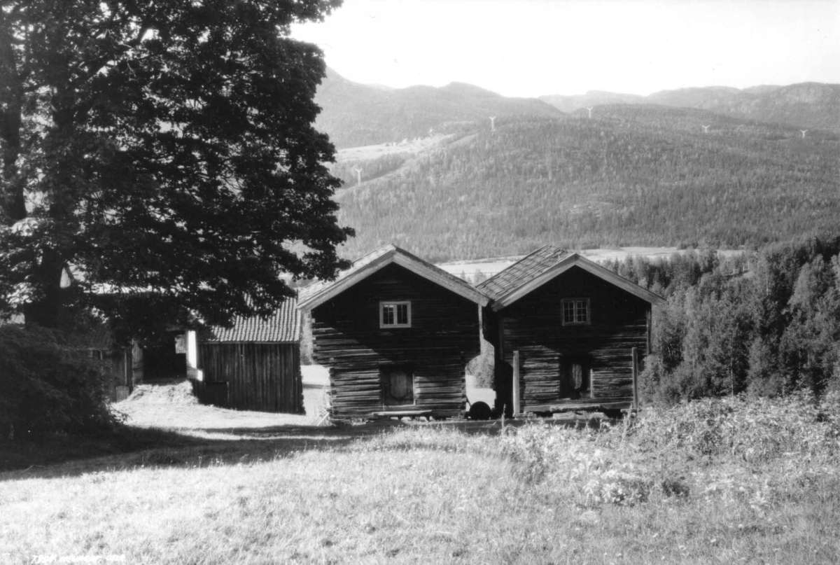 Hermann Christian Neupert, Landskap, Buskerud 1930. Oversiktsbilde. Gårdstun med låve og stabbur. I bakgrunnen skog og åser.