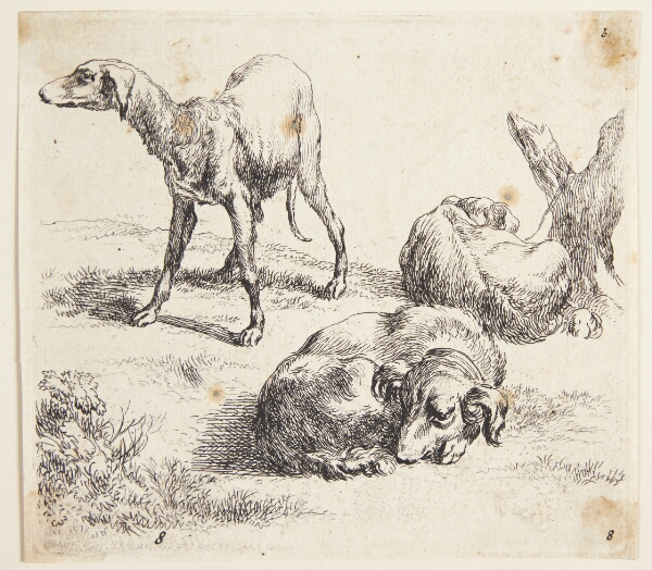 Nicolaes Berchem, Tre jagthunde