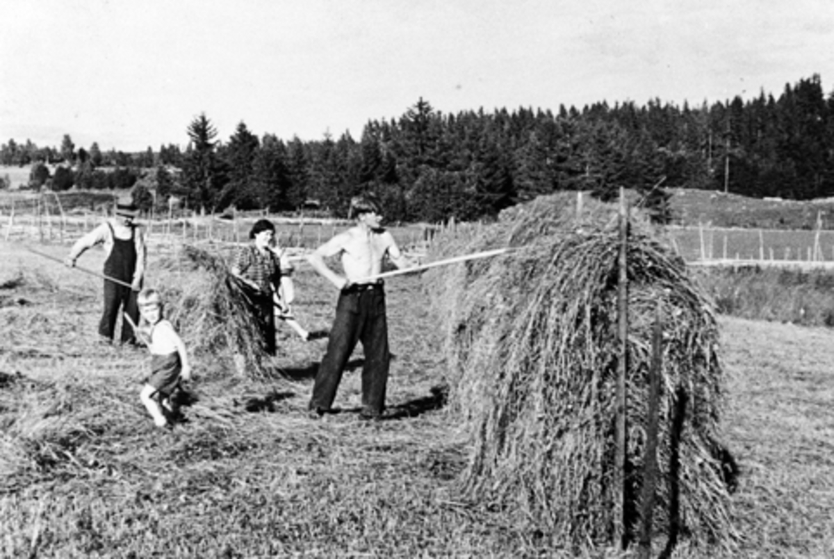 Anno Domkirkeodden, UTHUS GARD, STANGE, HØYONN, SLÅTTONN, HESJING AV HØY, AGRONOM JOHAN EKERN, KRISTIAN SKJEGSTAD, PETRA OG ODD KJELL SKJEGSTAD, JULI 1939