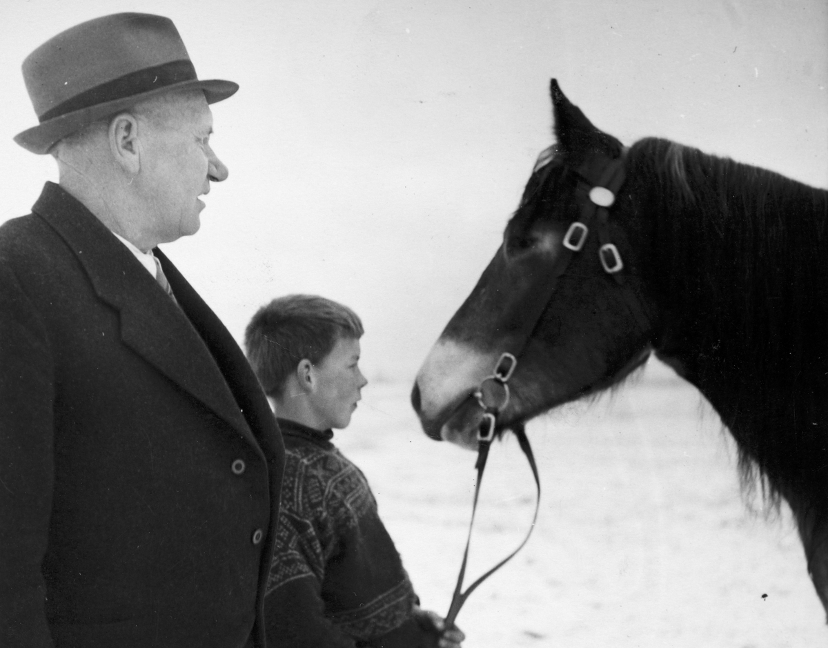 Anno Domkirkeodden, Dyri gard i Løten, Paul Svevad og Knut Svevad med hesten Kjellrugga.